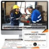 Overhead Crane Trainer and Evaluator